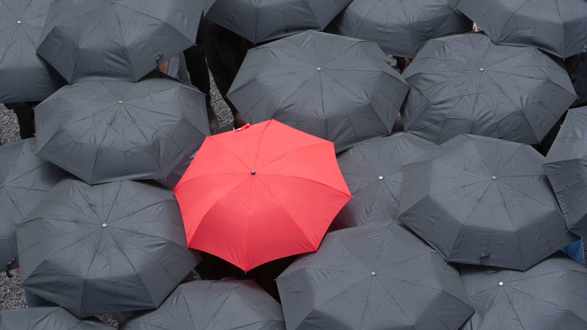 Why You Need a Value Proposition That Sets You Apart